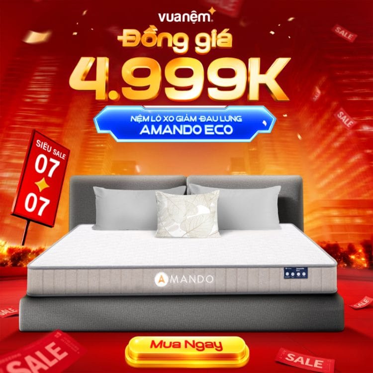 Nệm lò xo giảm đau lưng Amando Eco
