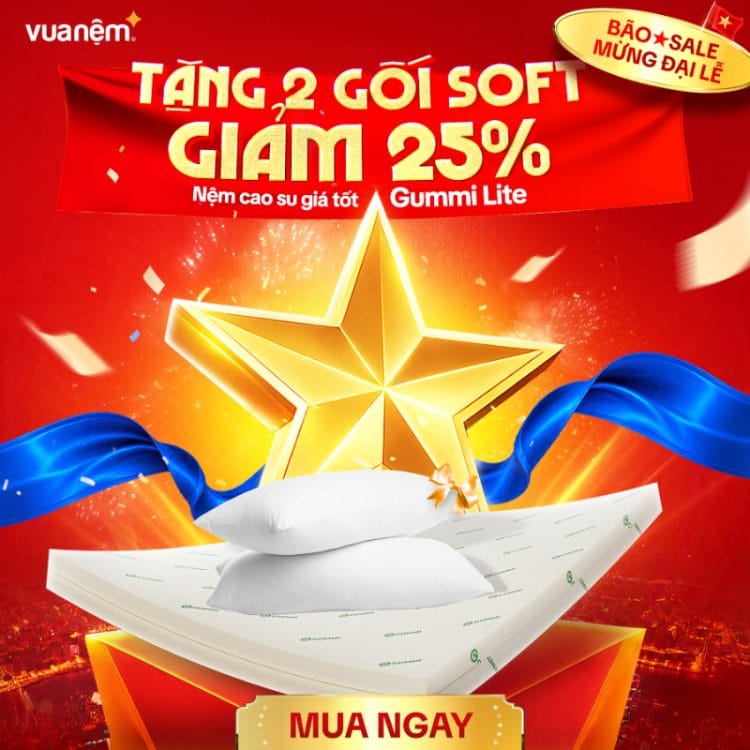 Nệm cao su Gummi Lite
