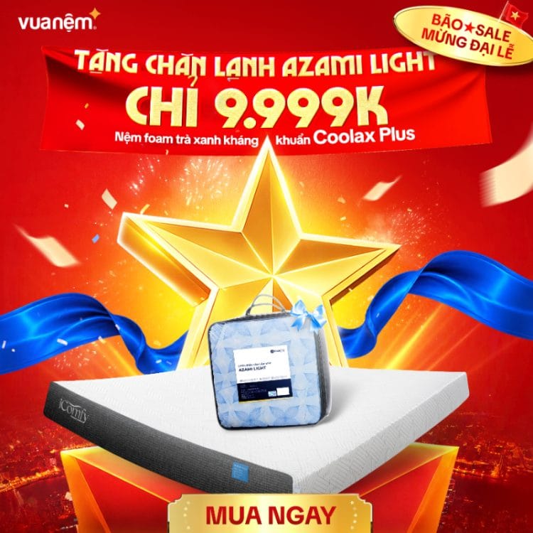 Nệm foam iComfy Coolax Plus