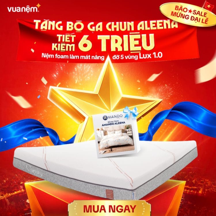 Nệm foam Comfy Lux 1.0