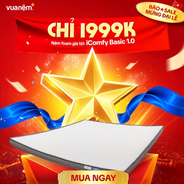 Nệm foam iComfy Basic 1.0