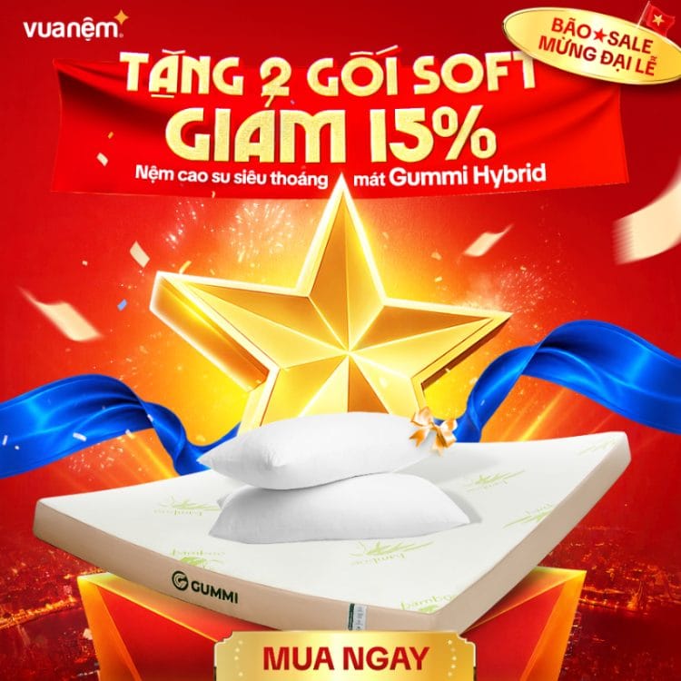 Nệm cao su Gummi Hybrid
