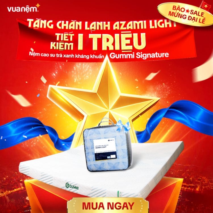 Nệm cao su Gummi Signature