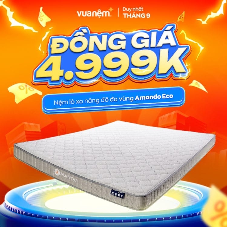 Nệm lò xo nâng đỡ đa vùng Amando Eco
