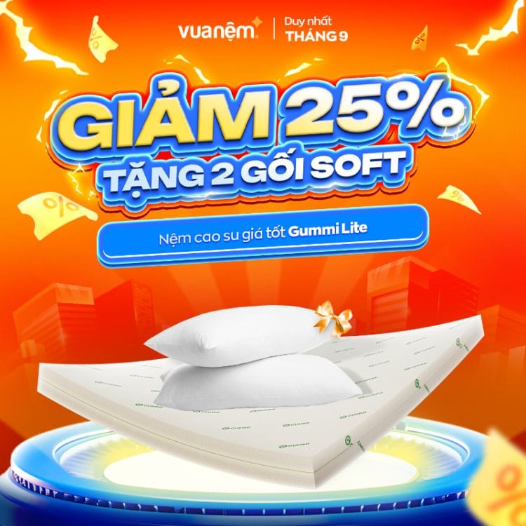 Nệm cao su giá tốt Gummi Lite