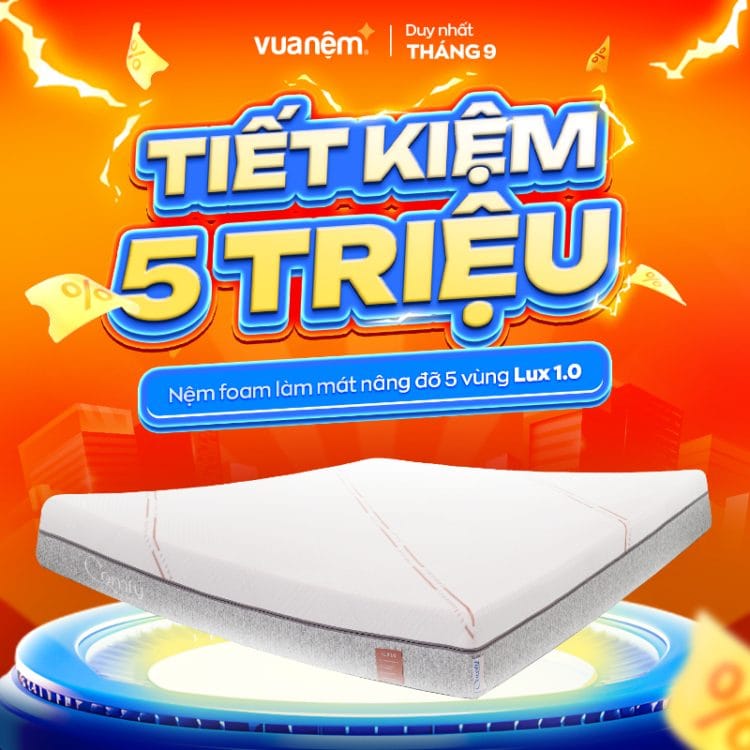 Nệm foam làm mát nâng đỡ 5 vùng Comfy Lux 1.0