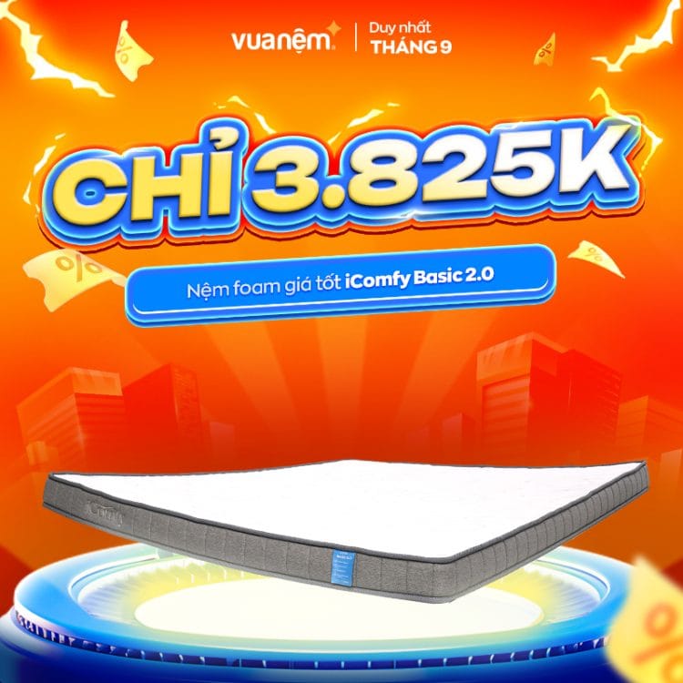 Nệm foam giá tốt iComfy Basic 2.0
