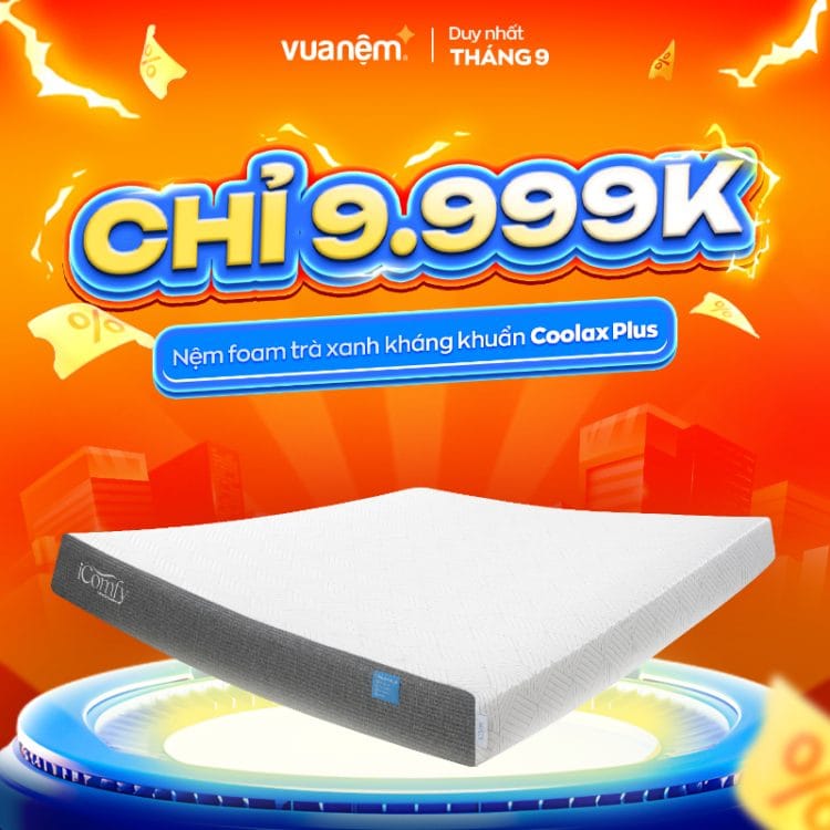 Nệm foam trà xanh kháng khuẩn iComfy Coolax Plus
