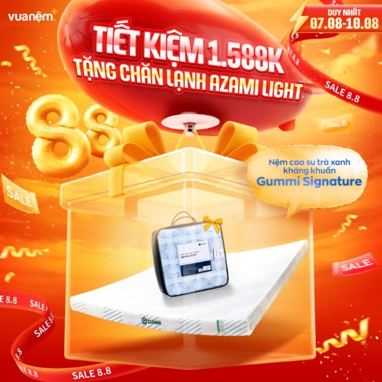 Nệm Gummi Signature