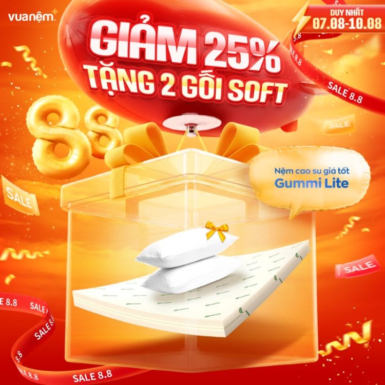 Nệm cao su giá tốt Gummi Lite