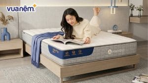 So sánh nệm foam và nệm lò xo: Nên mua nệm nào tốt hơn