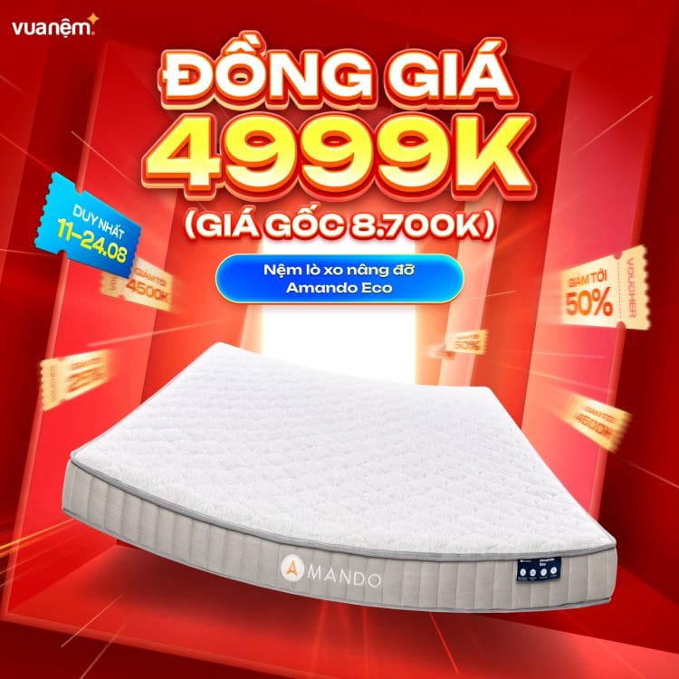 Nệm lò xo nâng đỡ Amando Eco