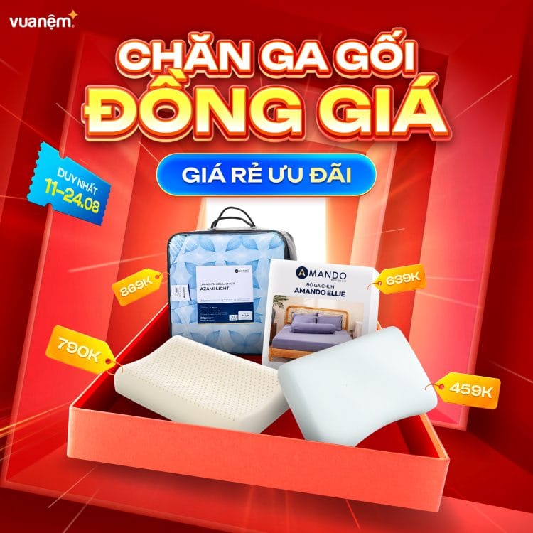 Chăn ga gối đồng giá ưu đãi