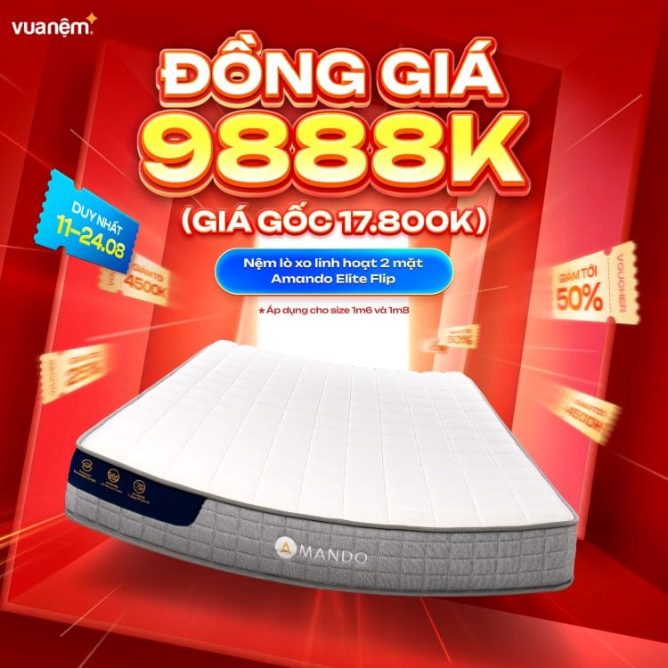 Nệm lò xo linh hoạt 2 mặt Amando Elite Flip
