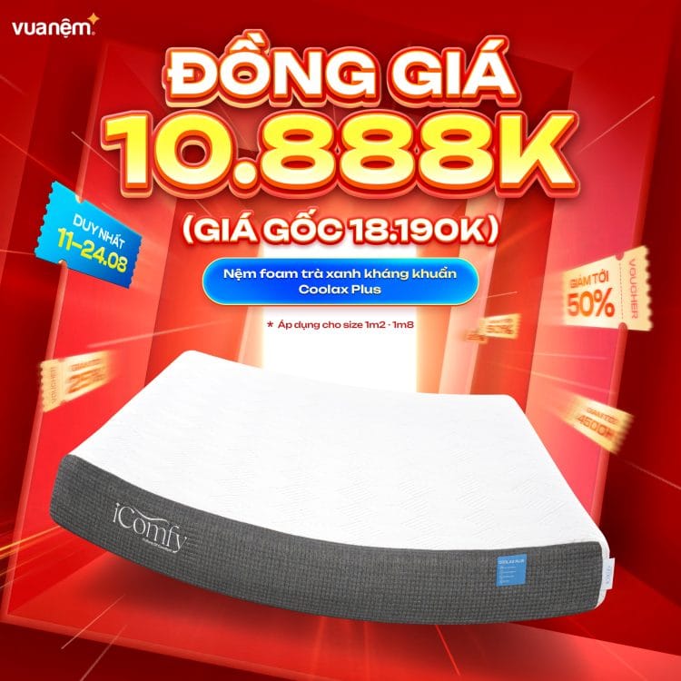 Nệm foam trà xanh kháng khuẩn iComfy Coolax Plus