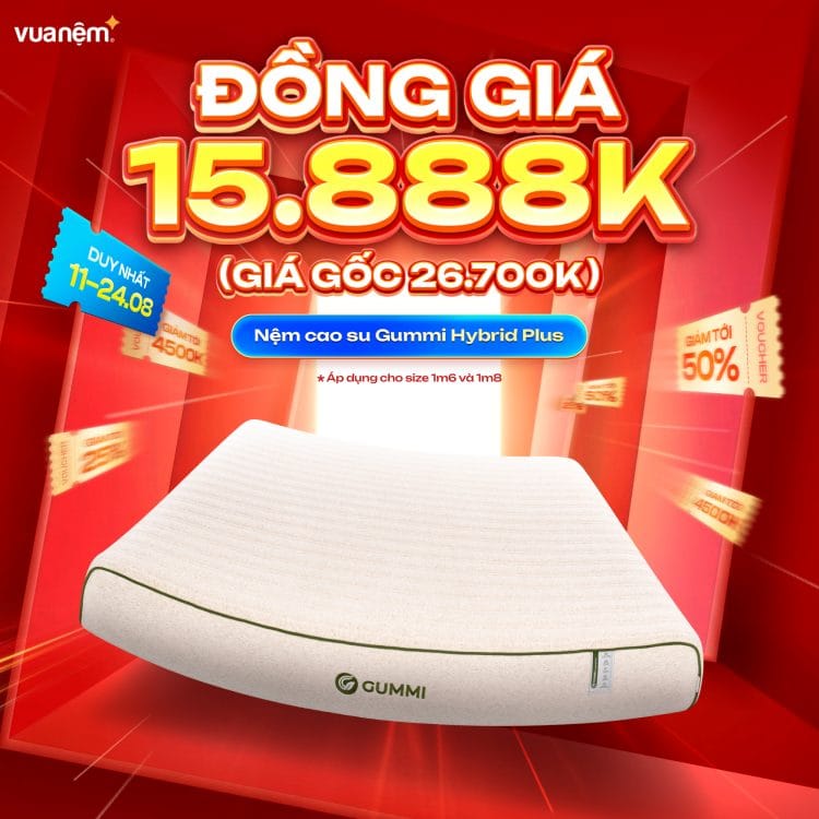 Nệm cao su Gummi Hybrid Plus