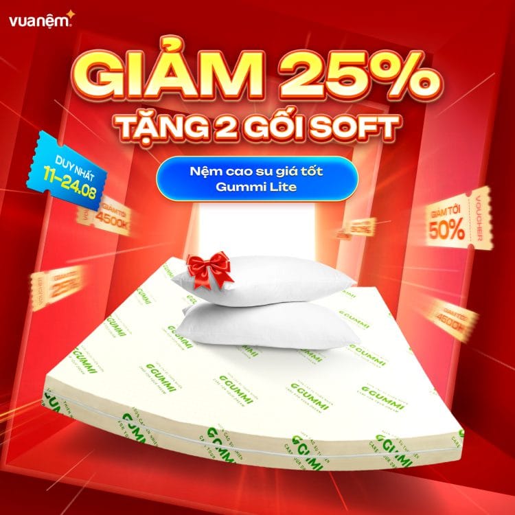 Nệm cao su giá tốt Gummi Lite