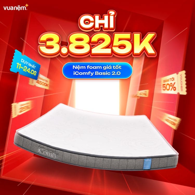 Nệm foam giá tốt iComfy Basic 2.0