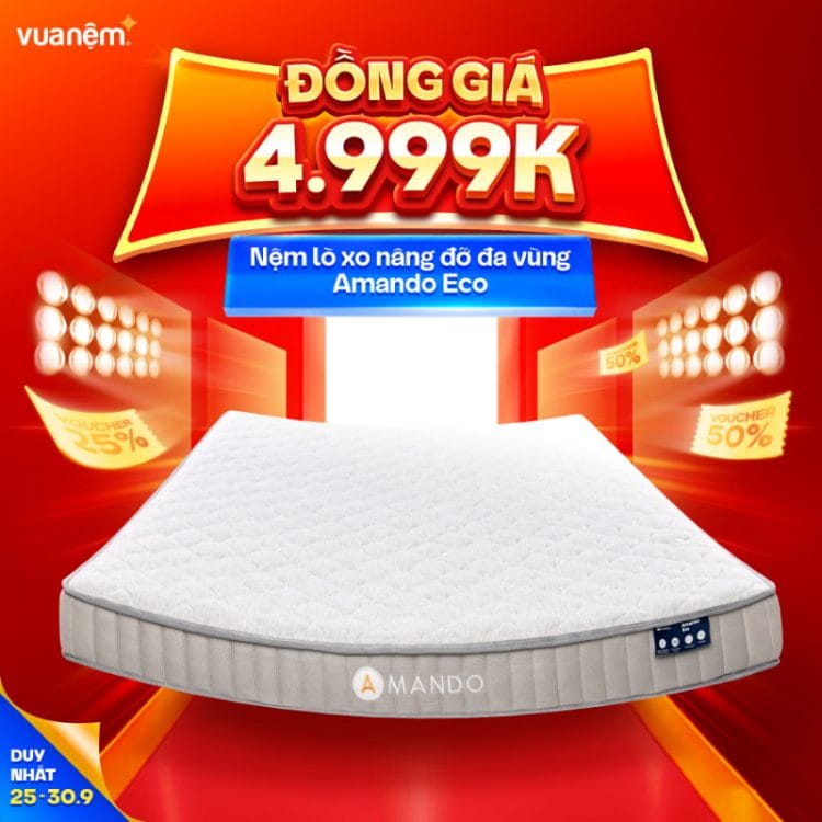 Nệm lò xo nâng đỡ đa vùng Amando Eco