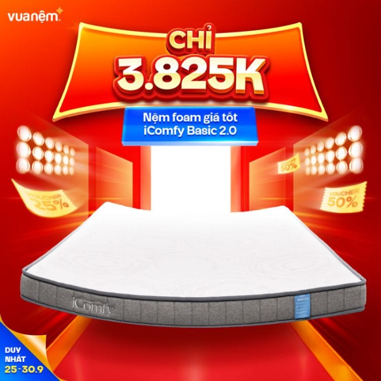 Nệm foam giá tốt iComfy Basic 2.0