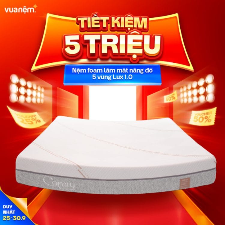 Nệm foam làm mát nâng đỡ 5 vùng Comfy Lux 1.0