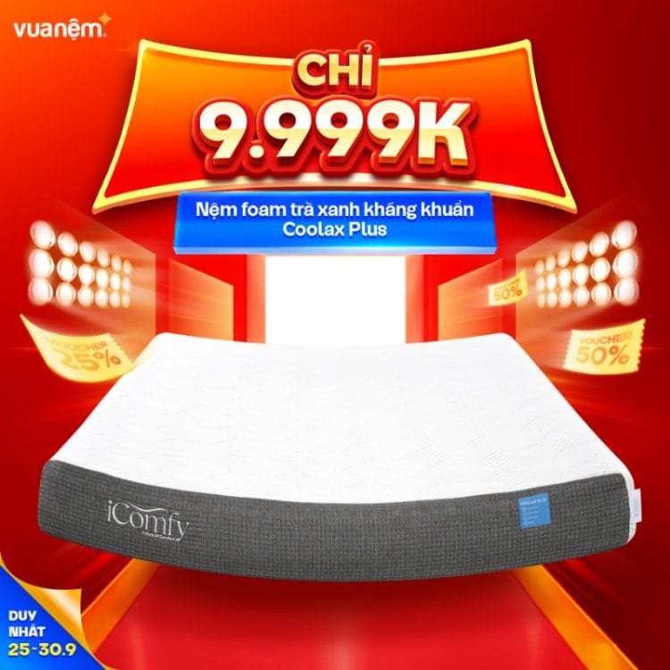Nệm foam trà xanh kháng khuẩn iComfy Coolax Plus