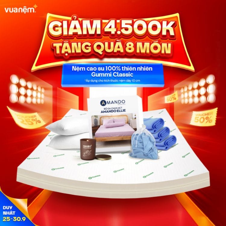 Nệm cao su 100% thiên nhiên Gummi Classic
