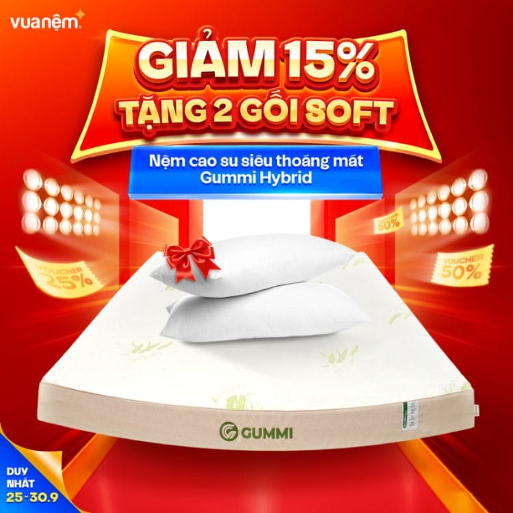 Nệm cao su siêu thoáng mát Gummi Hybrid