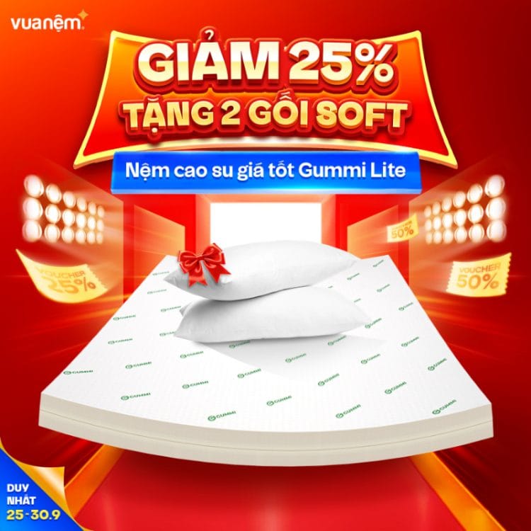 Nệm cao su giá tốt Gummi Lite