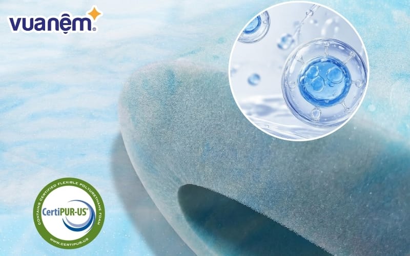 koc thai hoa 88 review nem icomfy cloud 2 6