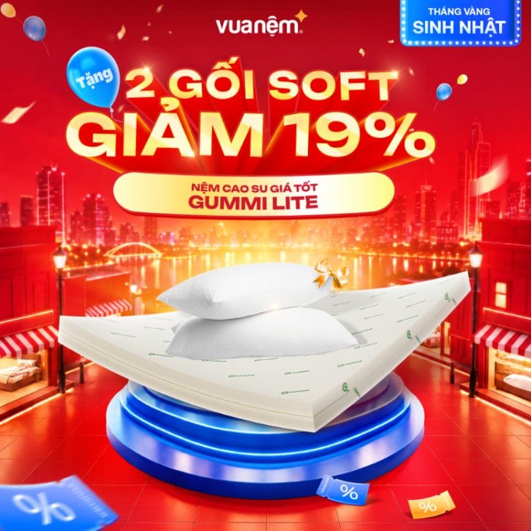 Nệm cao su giá tốt Gummi Lite