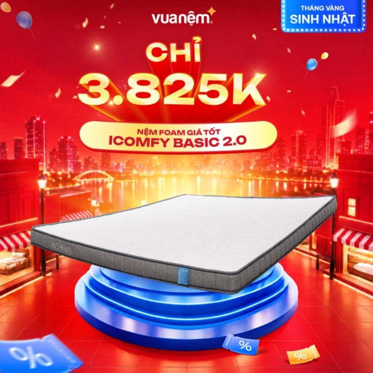 Nệm foam giá tốt iComfy Basic 2.0
