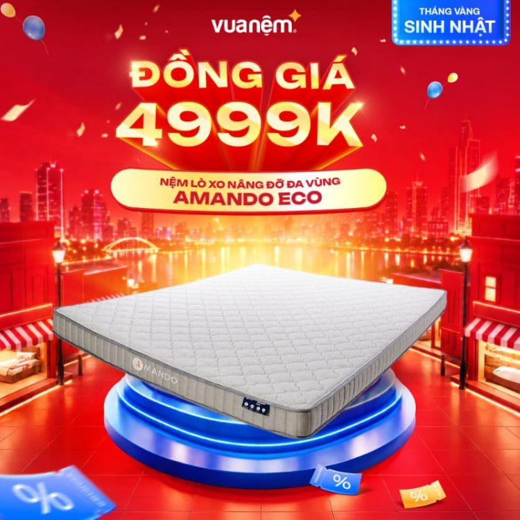 Nệm lò xo nâng đỡ đa vùng Amando Eco