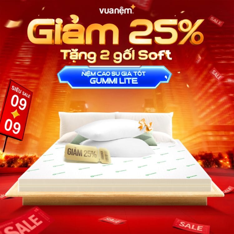 Nệm cao su giá tốt Gummi Lite