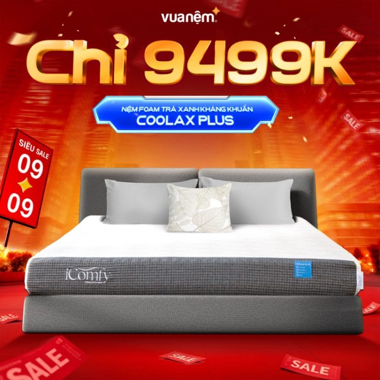 Nệm foam trà xanh kháng khuẩn iComfy Coolax Plus