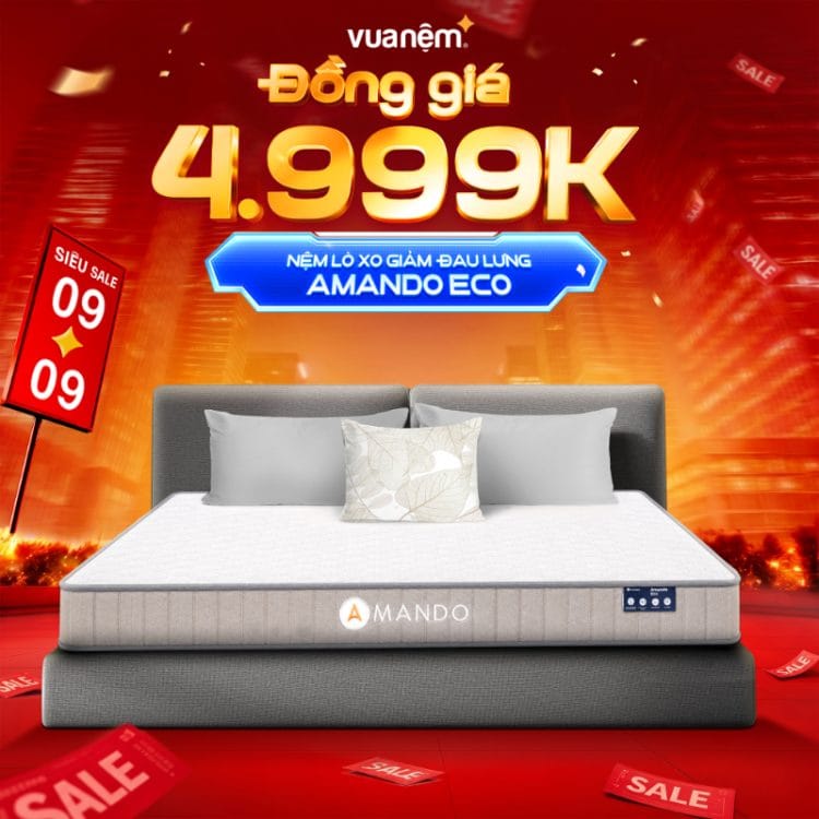 Nệm lò xo giảm đau lưng Amando Eco