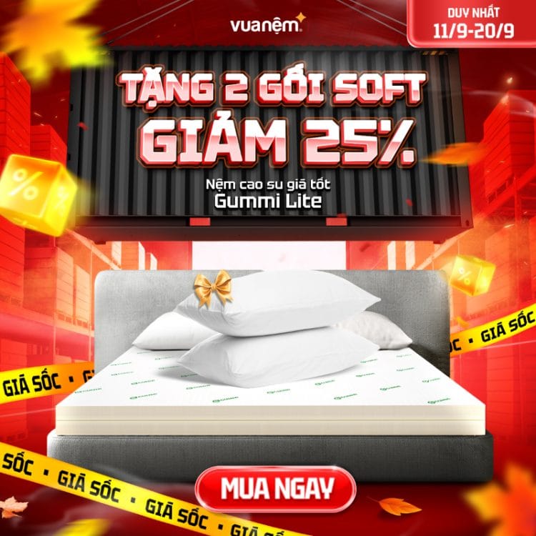 Nệm cao su giá tốt Gummi Lite