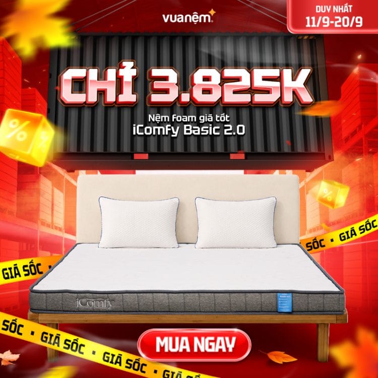 Nệm foam giá tốt iComfy Basic 2.0