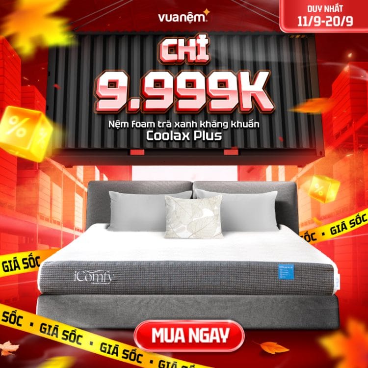 Nệm foam trà xanh kháng khuẩn iComfy Coolax Plus