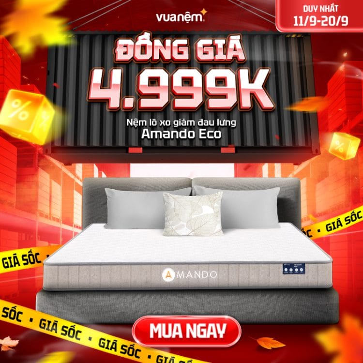 Nệm lò xo giảm đau lưng Amando Eco