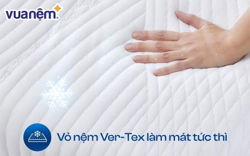 Tư vấn mua nệm Bedgear chính hãng với chính sách bảo hành rõ ràng
