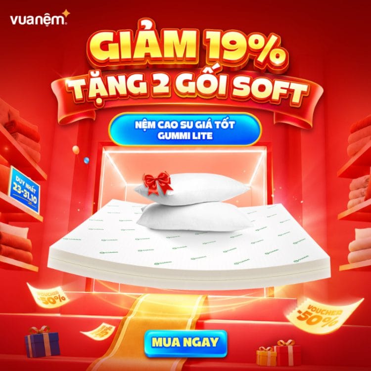 Nệm cao su giá tốt Gummi Lite