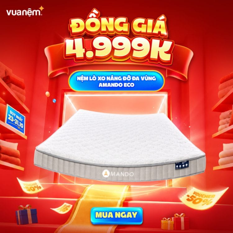 Nệm lò xo nâng đỡ đa vùng Amando Eco