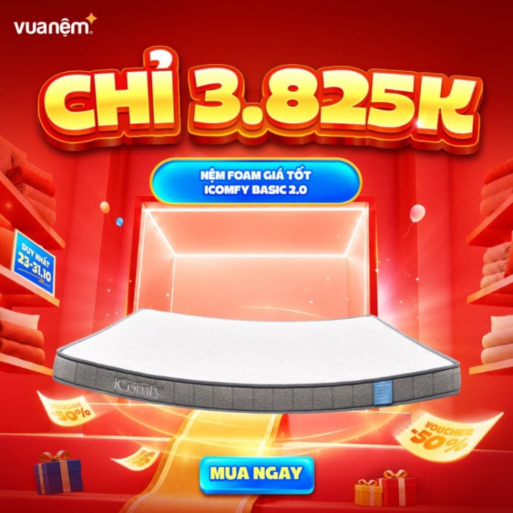 Nệm foam giá tốt iComfy Basic 2.0