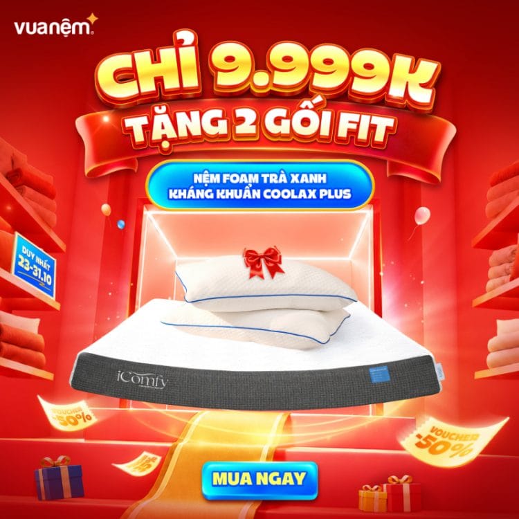Nệm foam trà xanh kháng khuẩn iComfy Coolax Plus