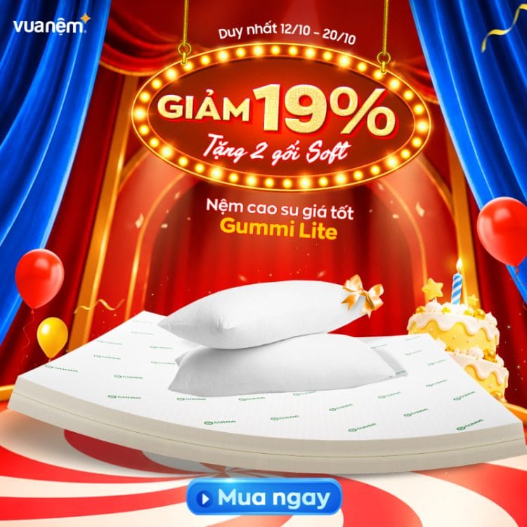 Nệm cao su Gummi Lite