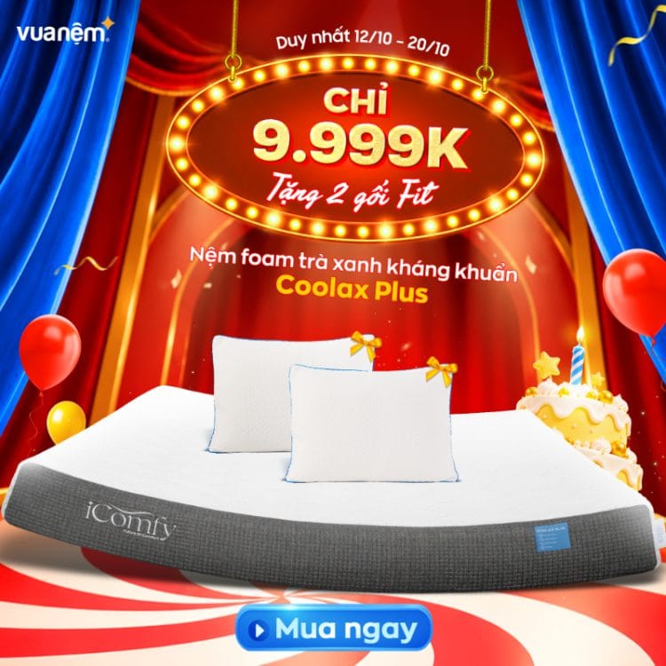 Nệm foam iComfy Coolax Plus
