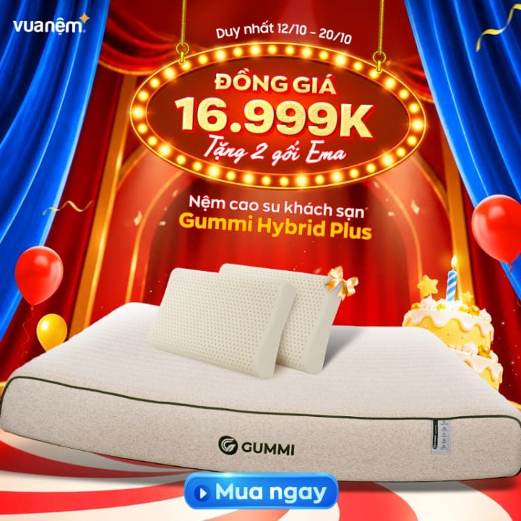 Nệm cao su Gummi Hybrid Plus