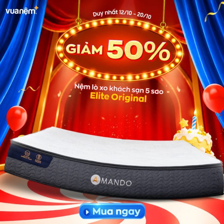 Nệm lò xo túi độc lập Amando Elite Original