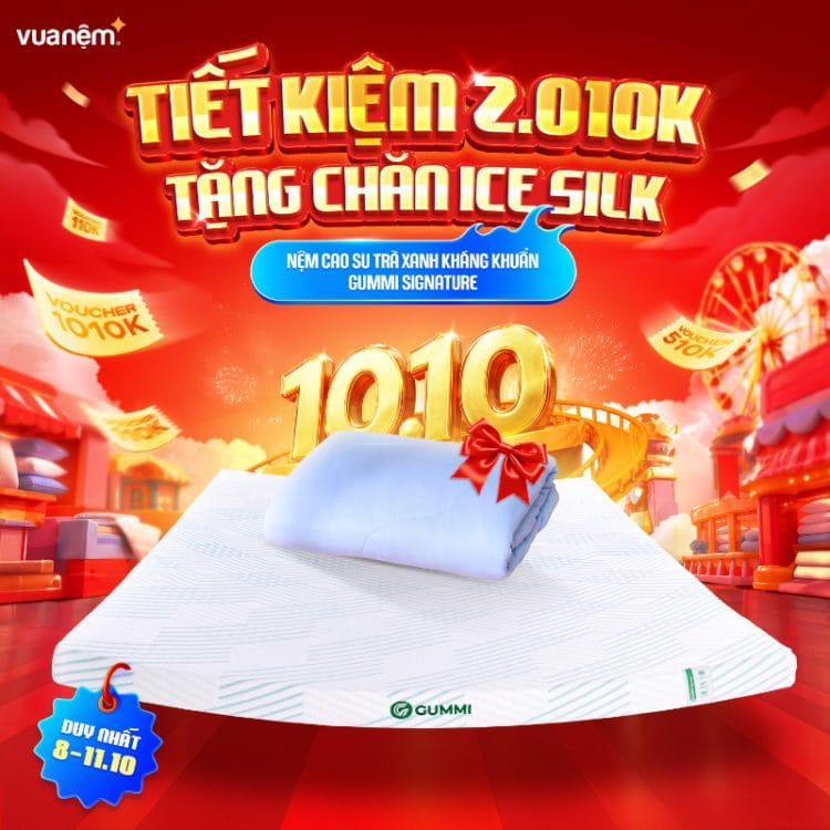 Nệm Gummi Signature công nghệ kép